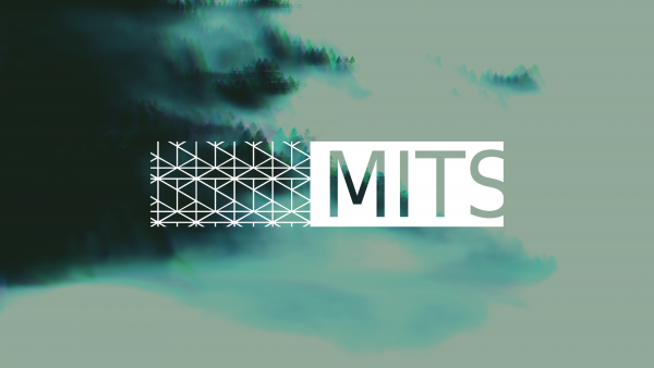 MITS - Moda, Inovação, Tecnologia e Sustentabilidade
